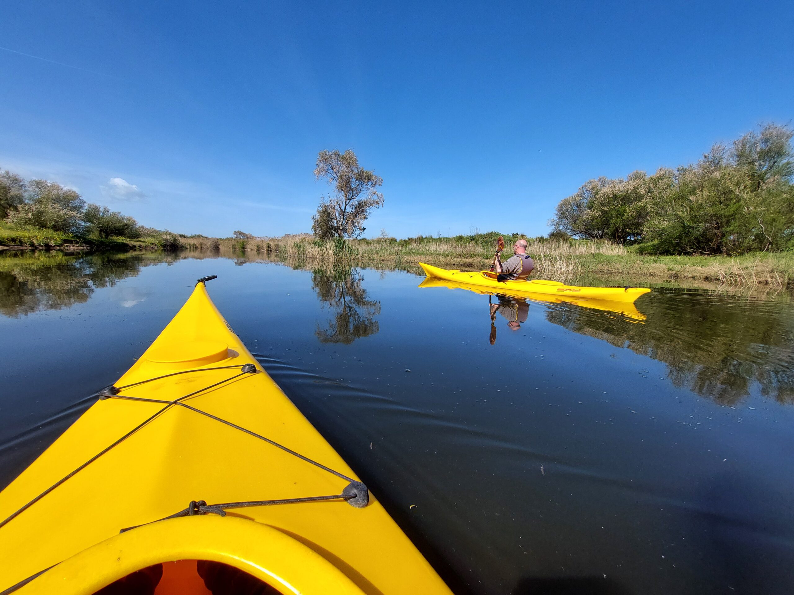 20220410_112048-Anna-Tilocca-scaled