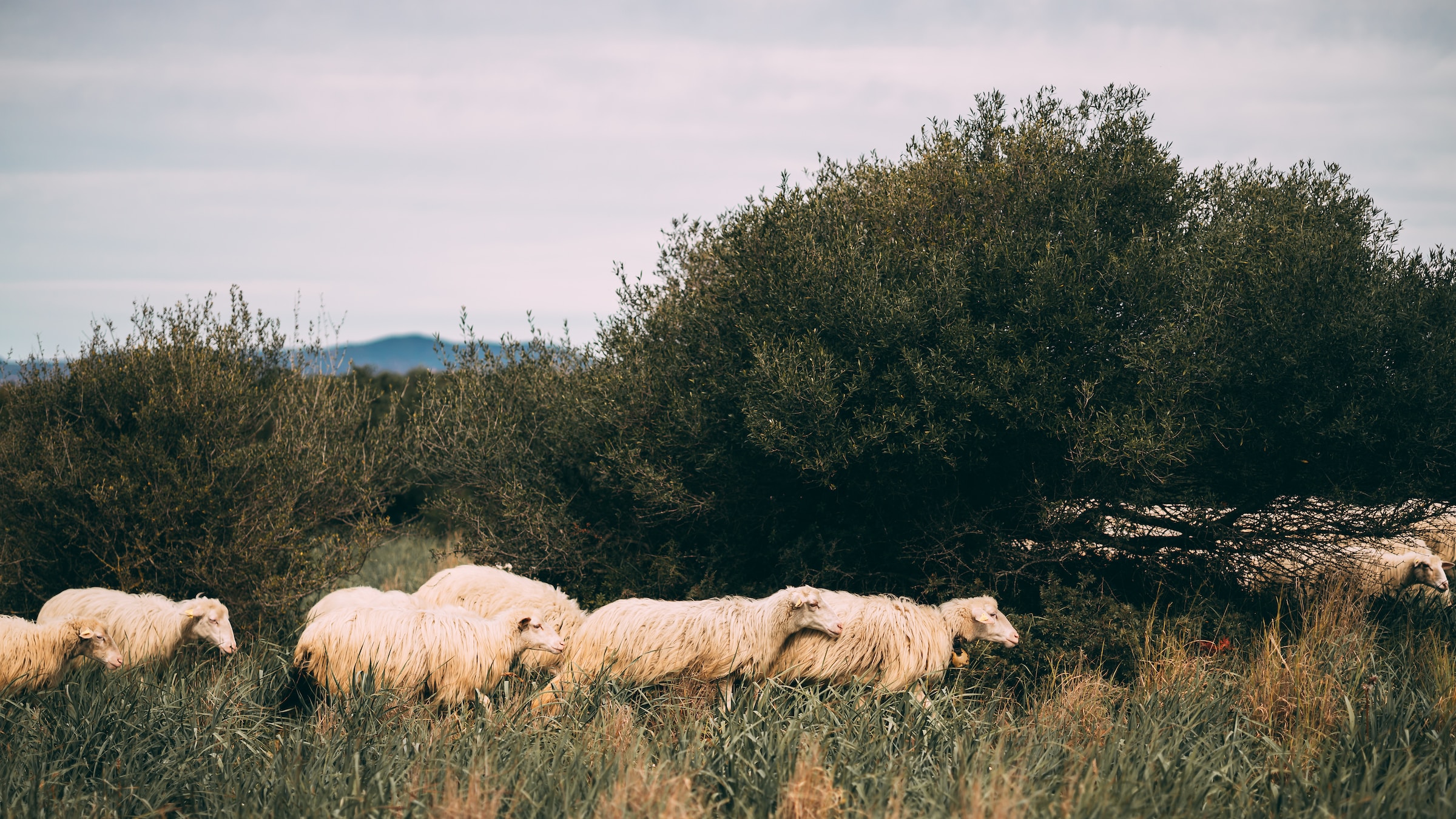 alex-tevere-8GE7LZMPa8g-unsplash (1)